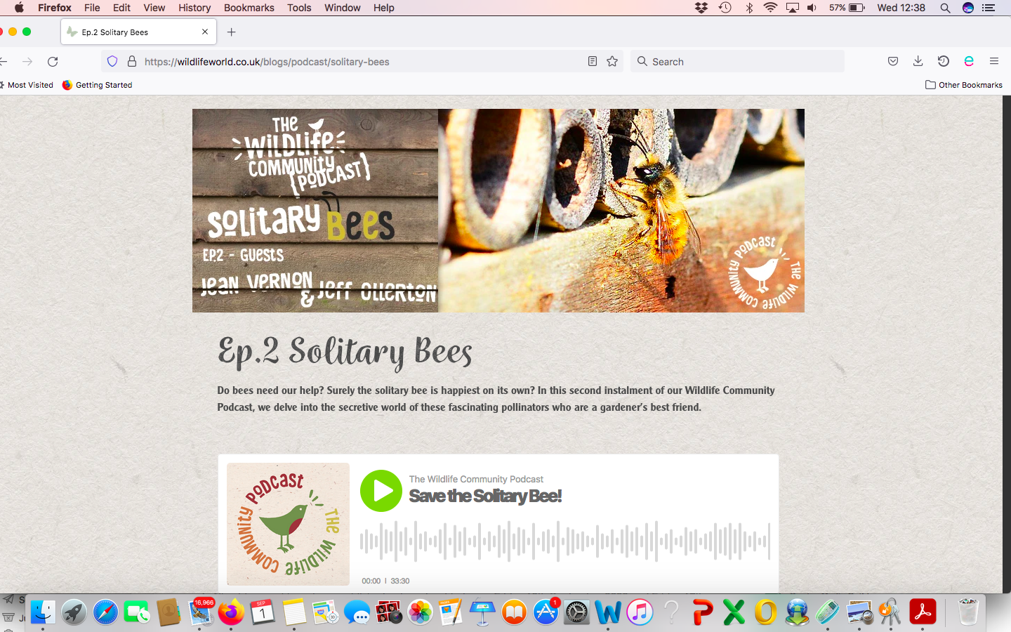 Solitary Bees Podcast